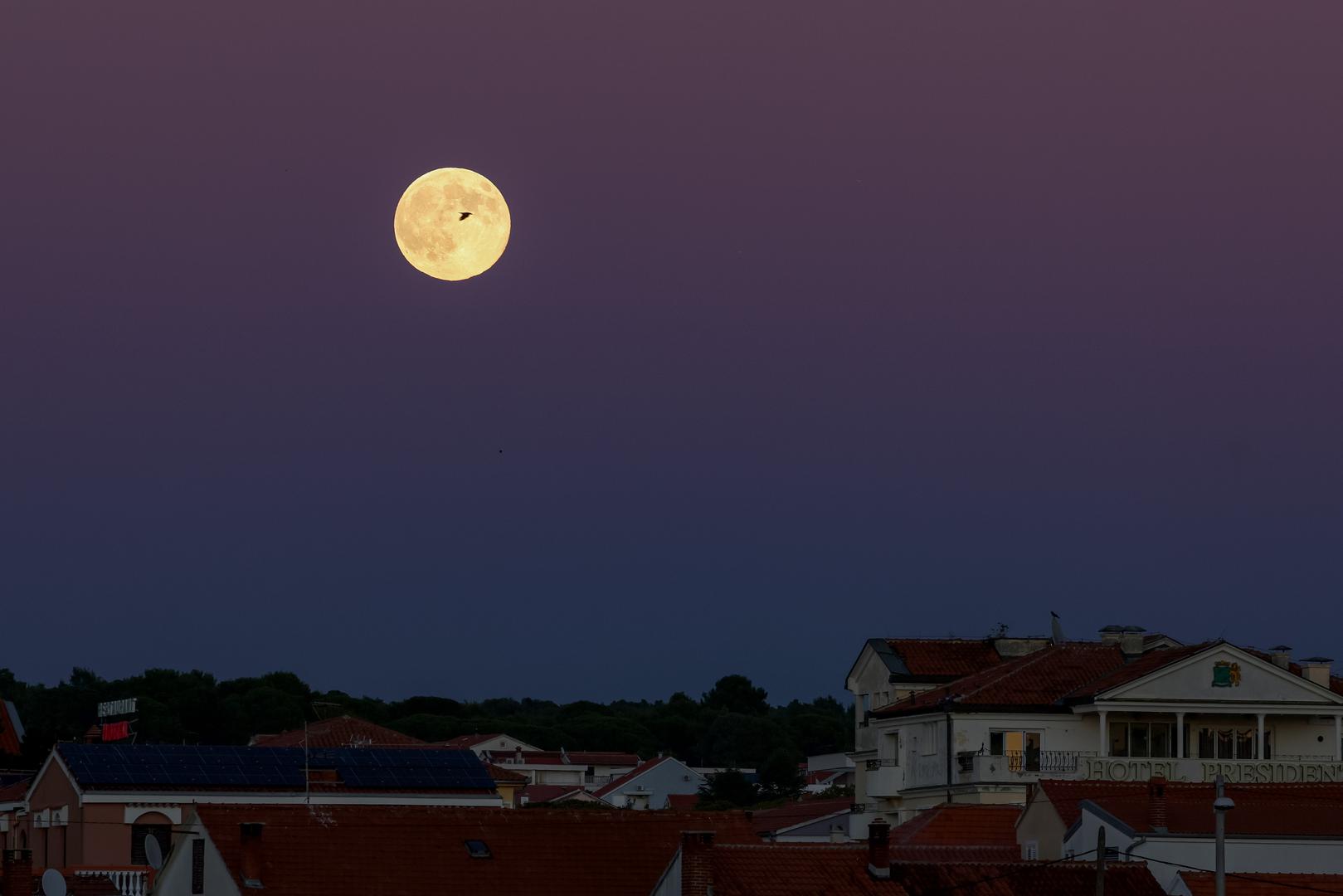 Ako ste večeras propustili pogledati ovaj svjetleći spektakl, ne brinite, posljednji supermjesec ove godine očekuje nas 6. prosinca. Do tada, uživajte u fotografijama koje dočaravaju njegovu večerašnju ljepotu na hrvatskom nebu.