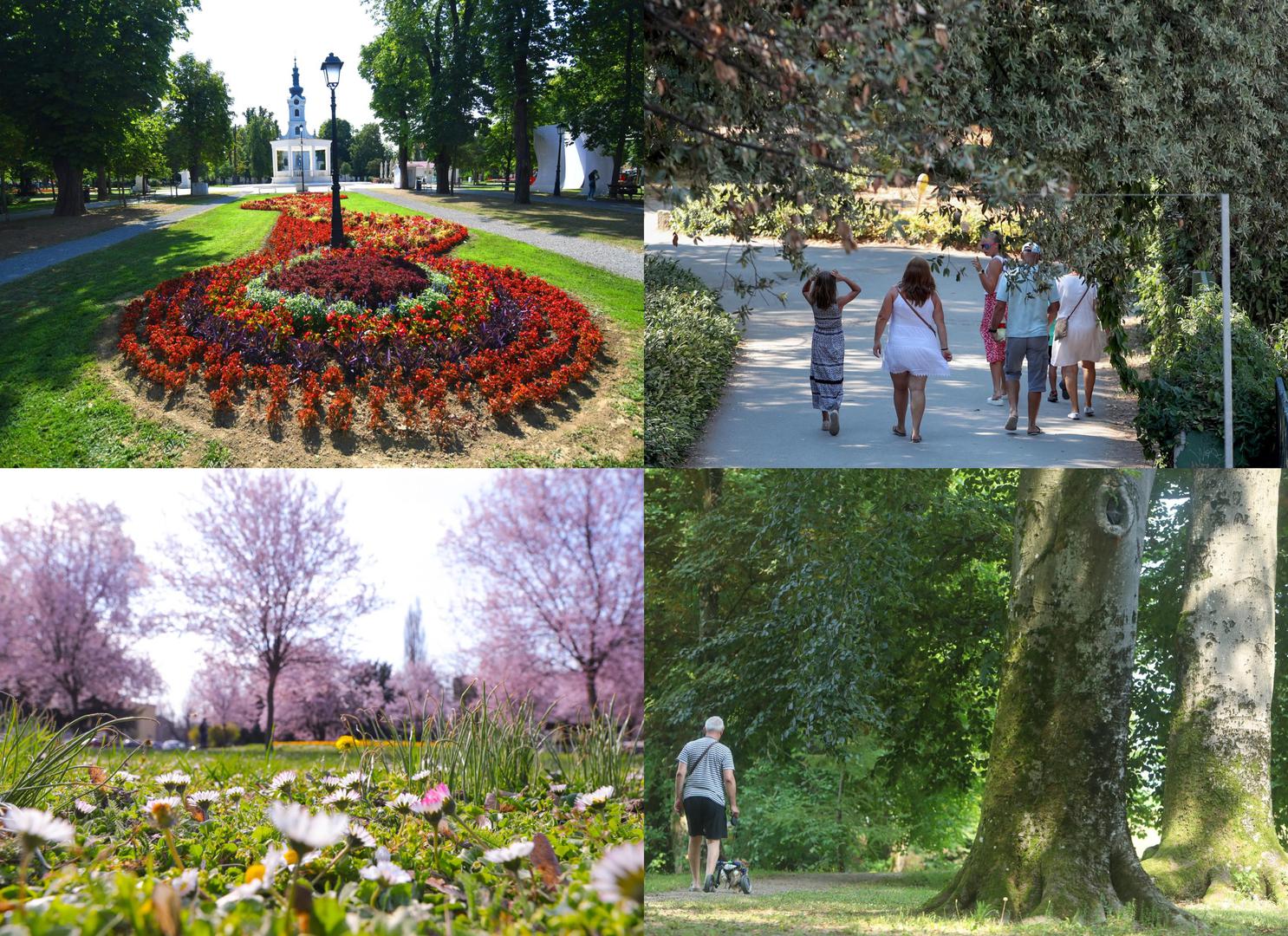Gradski parkovi u Hrvatskoj predstavljaju zelena utočišta u srcima urbanih sredina, nudeći prostor za odmor, rekreaciju i susret s prirodom. Svaki park nosi jedinstveni pečat lokalne povijesti, kulture i krajolika kojem pripada. U nastavku provjerite prepoznajete li gradove po njihovim parkovima. 