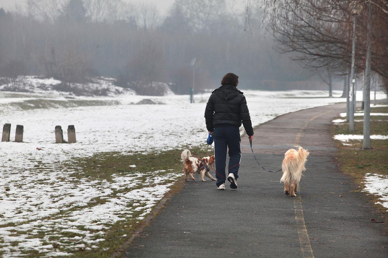 Zagreb: Na livadi pokraj KBC Dubrava otrovano više pasa