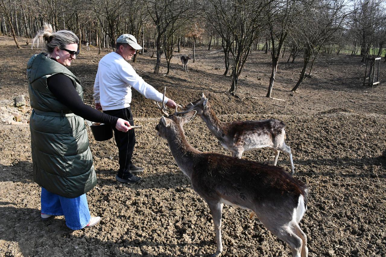 Turistička patrola i Večernjakove zvjezdice u općini Nova Kapela