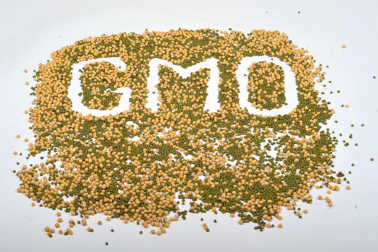 GMO