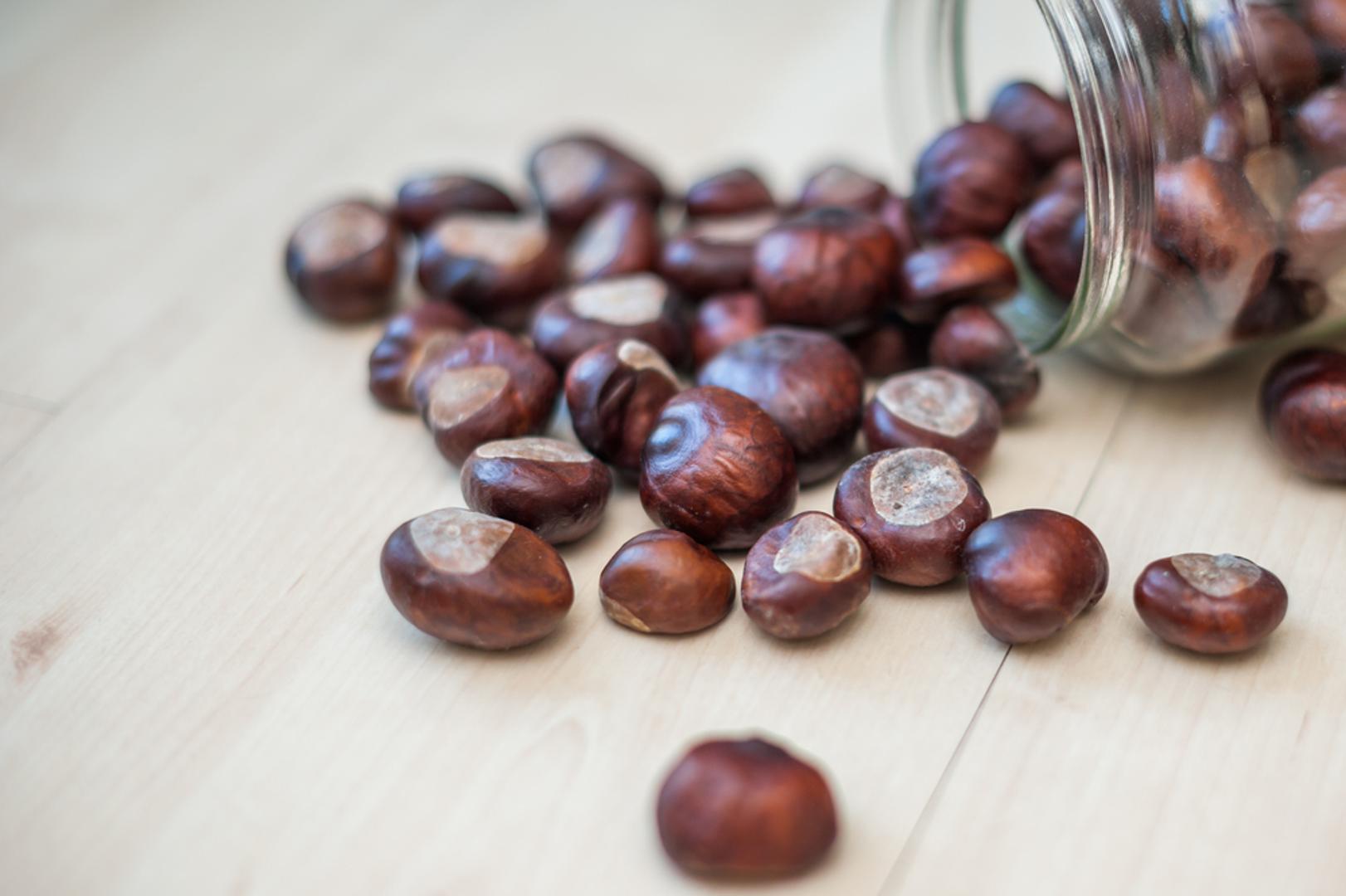 Njihov blag, pomalo slatkast okus dobro se slaže s čokoladom i vanilijom, ali i s gljivama, mesom te aromatičnim začinima. Priprema zahtijeva malo strpljenja zbog guljenja, no rezultat je vrijedan uloženog truda. Donosimo šest recepata uz koje ćete najbolje iskoristiti sezonu kestena.