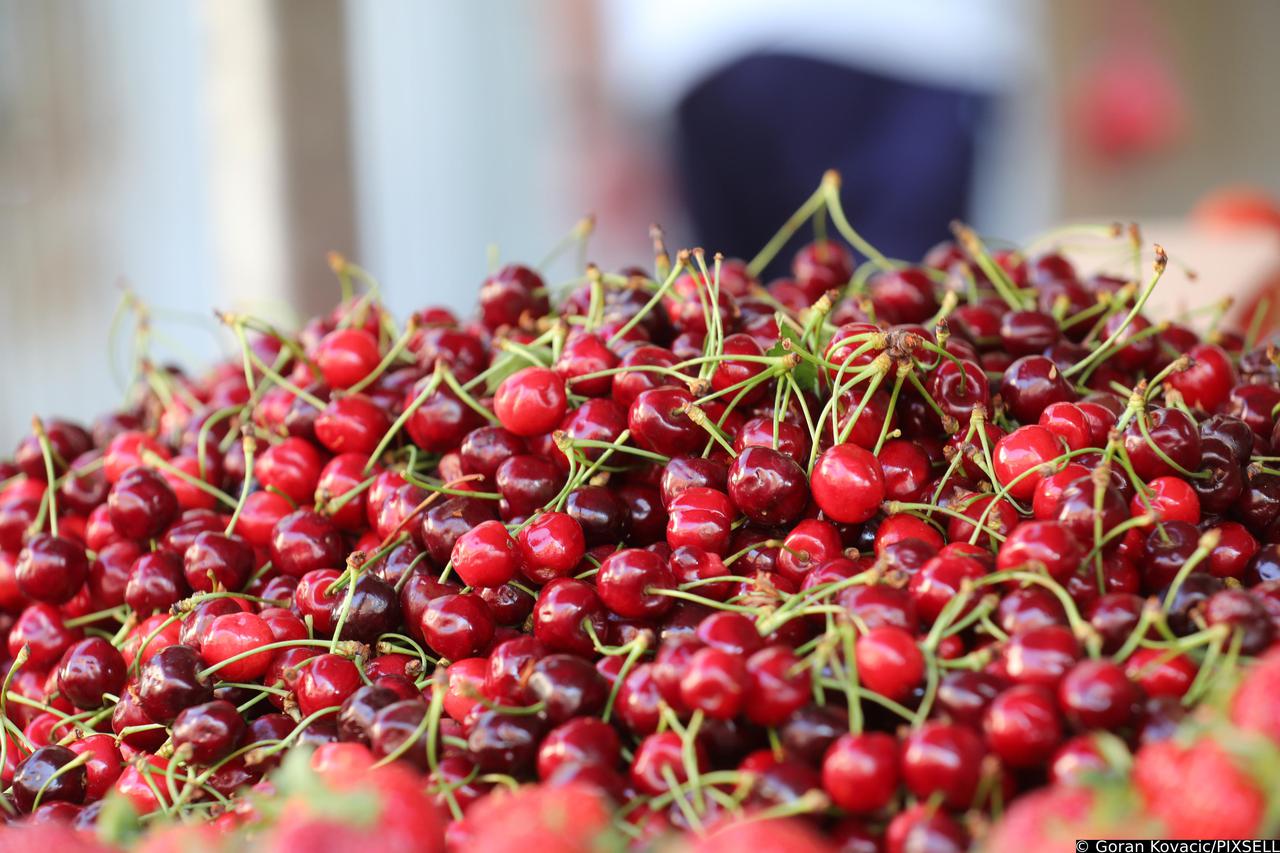Rijeka: Prve ovogodišnje trešnje na tržnici prodaju se po 36 kuna za kilogram