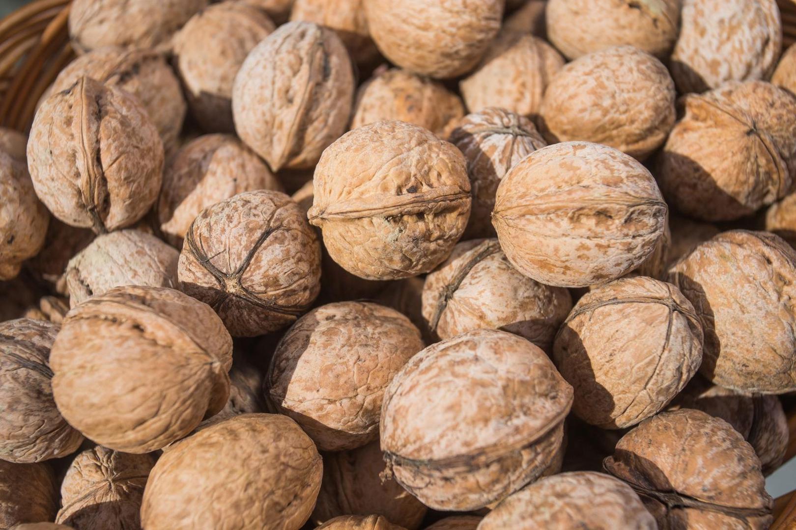 6. ORAH - Sadrži većinu omega-3 masnih kiselina koje mogu pomoći u smanjenju kolesterola. Dokazano je da Omega-3 masne kiseline poboljšavaju raspoloženje i bore se protiv raka; one također pomažu u zaštiti od sunčevog zračenja. 