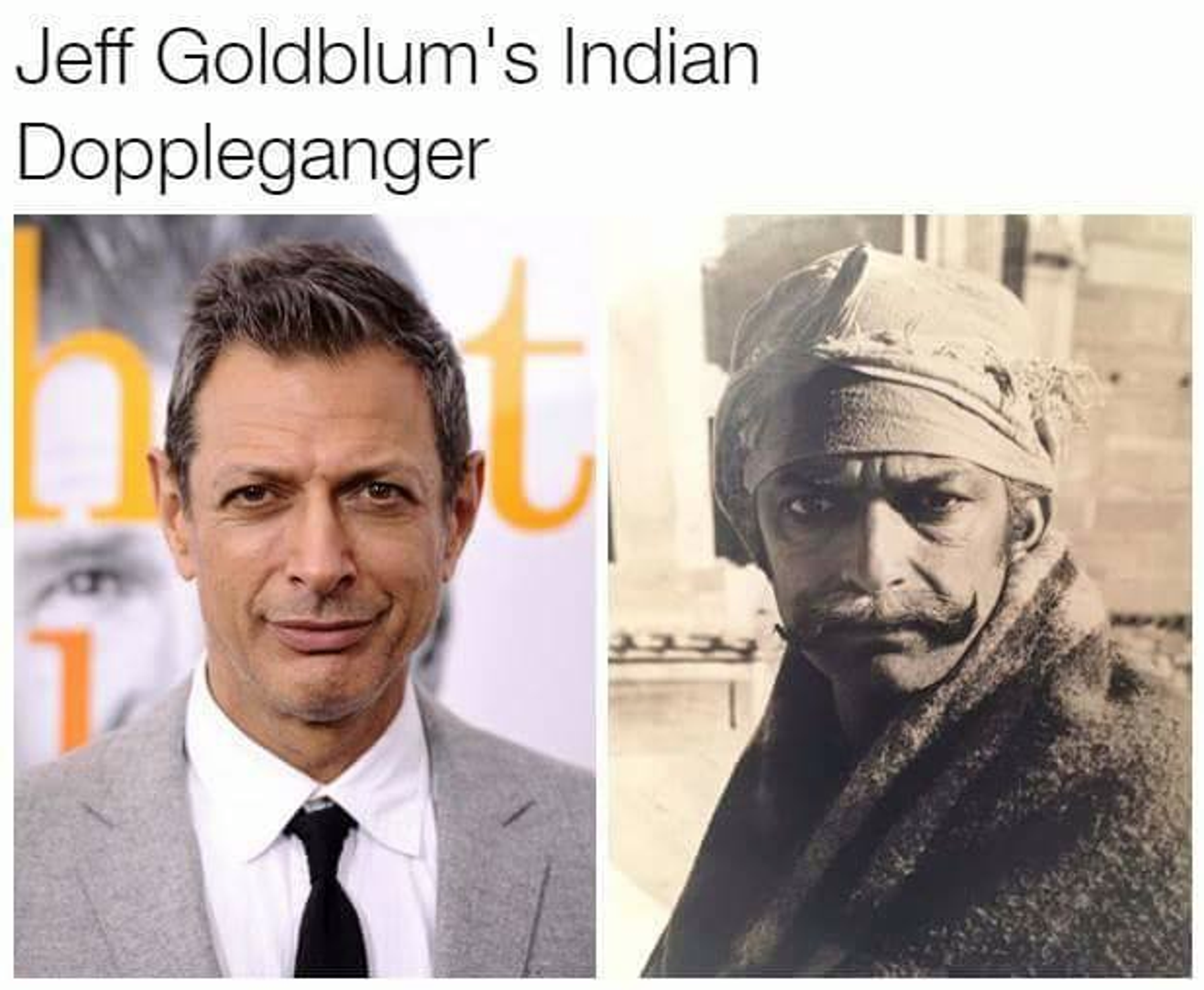 Indijski Jeff Goldblum
