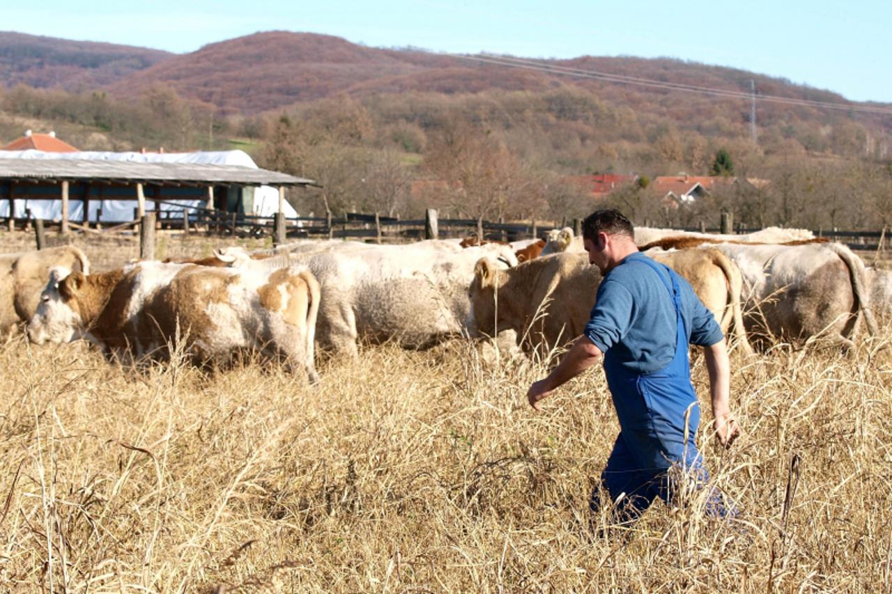 'OLYMPUS DIGITAL CAMERA'