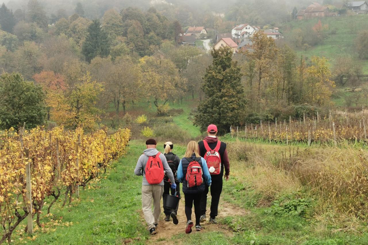 Camino Banovina
