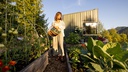 Don't have time to water your garden? This ingenious method does it for you, and it costs almost nothing