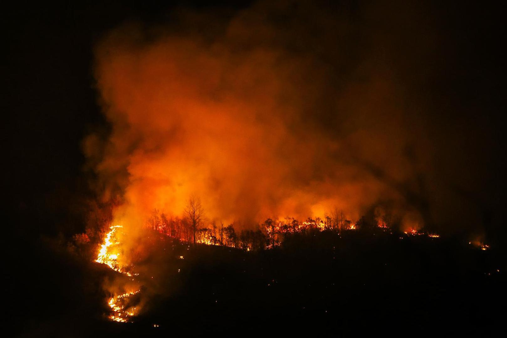 05.02.2025., Susnjevica- Danas oko 15 sati izbio je požar podno Učke, na području Kožljaka, točnije Jasenovika. Gori trava i nisko raslinje, a tamošnje kuće nisu ugrožene. Na terenu je 50 vatrogasaca s 15 vozila.  Photo: Srecko Niketic/PIXSELL