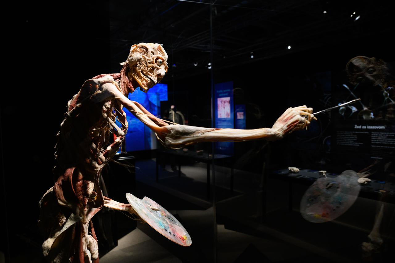 Zagreb: Konferencija uoči otvorenja izložbe seciranih ljudskih tijela Body Worlds Vital