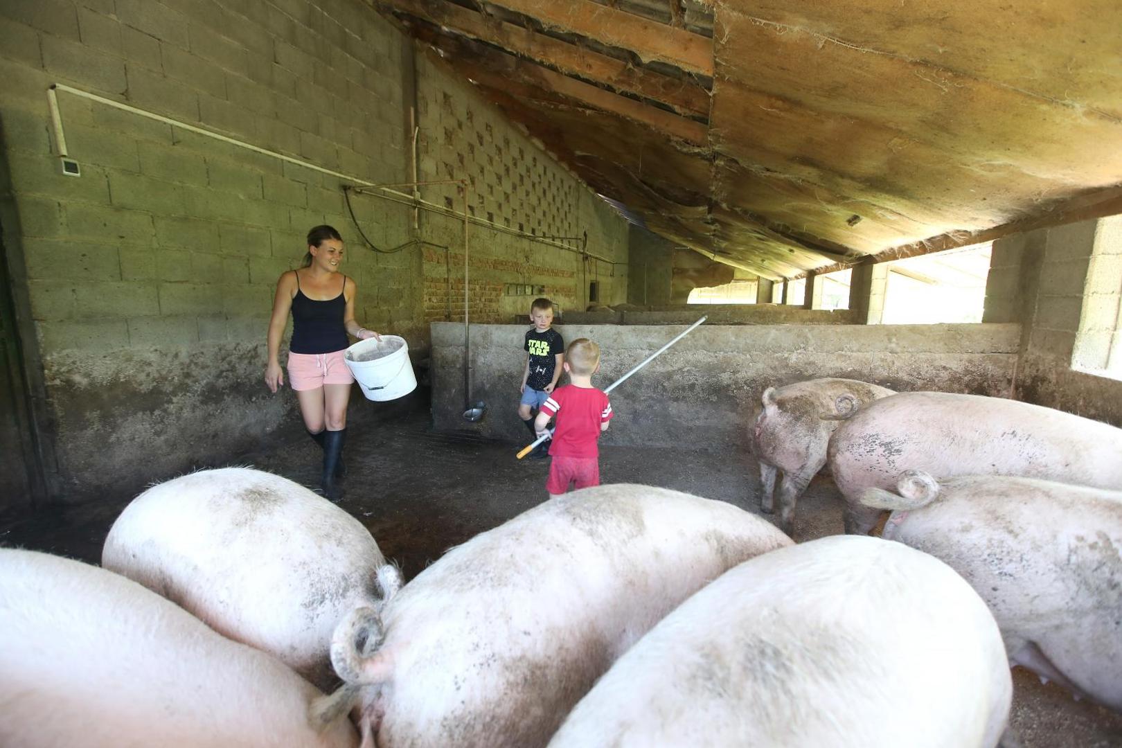 21.07.2020., Velika Gorica - Goran Speka, u selu Drnek kraj Oborova, bavi se stocarstvom i svinjogojstvom sa suprugom Ivanom i djecom Lucijom, Martinom i Matijom. 
Photo: Boris Scitar/Vecernji list/PIXSELL