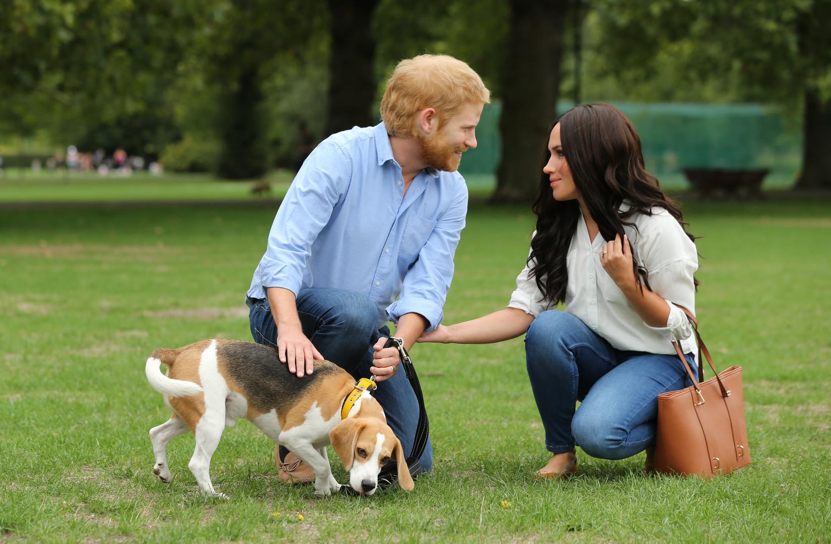 Ipak, bliži pogled na ovaj par odao je kako se radi o lažnom kraljevskom paru, jer glumci koji su nosili maske građom nisu bili toliko nalik Meghan i Harryju. 