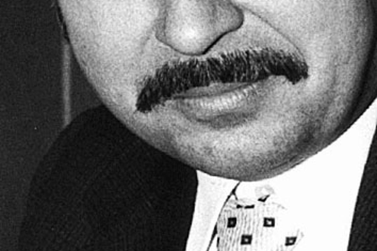 stjepan đureković