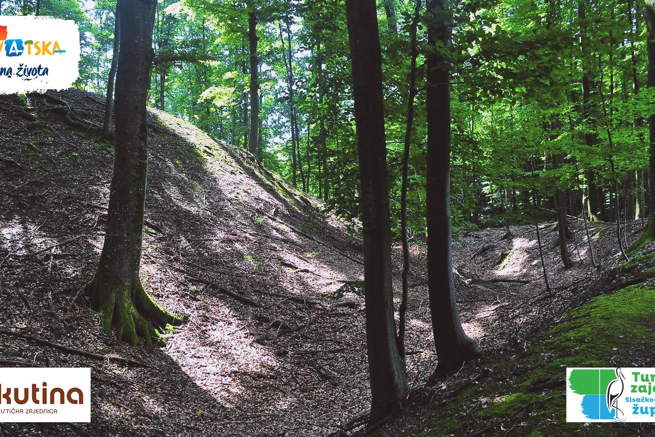 Moslavina