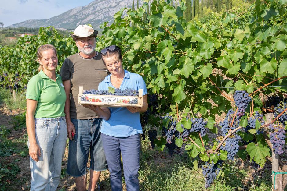 OPG Anita Trojanović u Konavlima