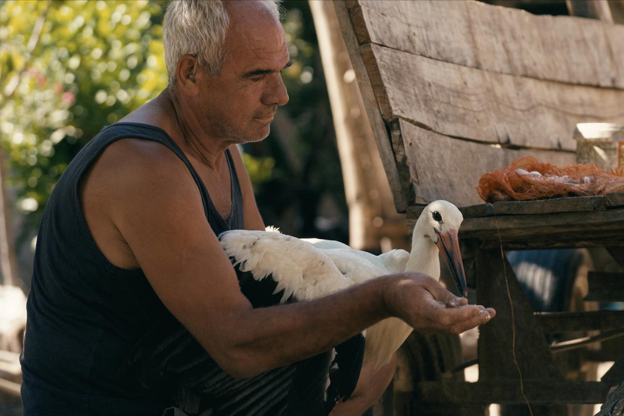 Priča o Siljanu