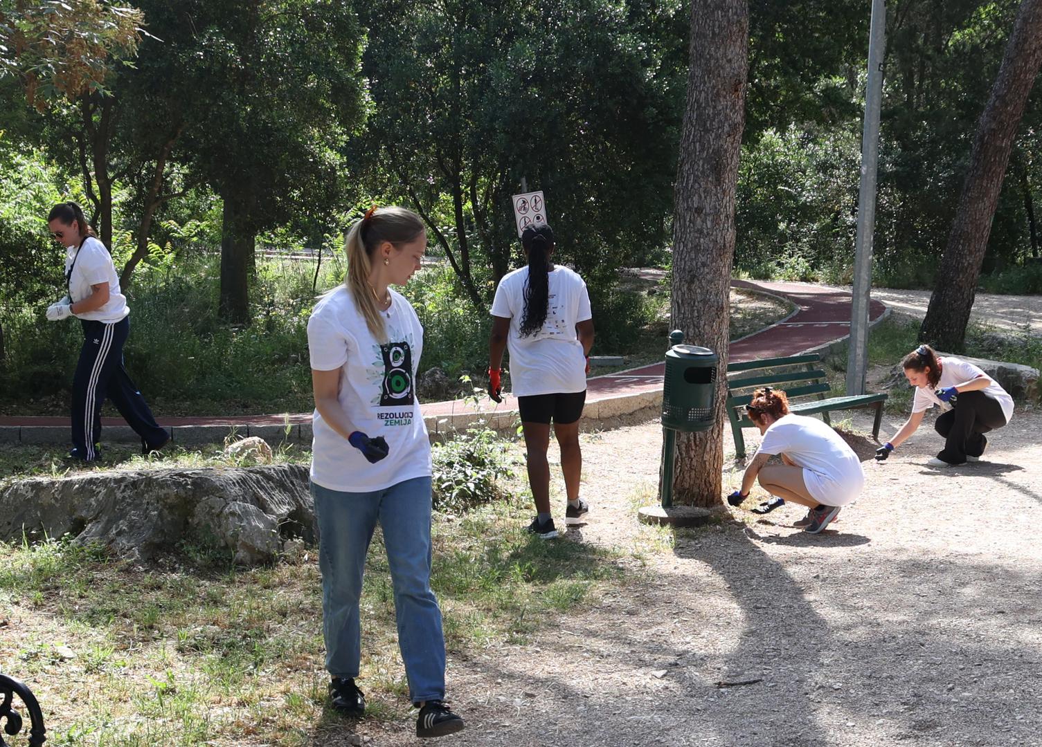 Volonteri su, uz čišćenje okoliša, u šumi zasadili i dvije sadnice hrasta crnike. Ovom volonterskom akcijom se potaknulo građane grada Šibenika da nastave slijediti stope aktivnosti koje pomažu okolišu i spajaju čovjeka s prirodom koji bi ju trebao poštivati i njegovati
