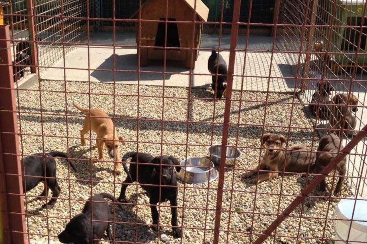 Azil Prijatelji Čakovec