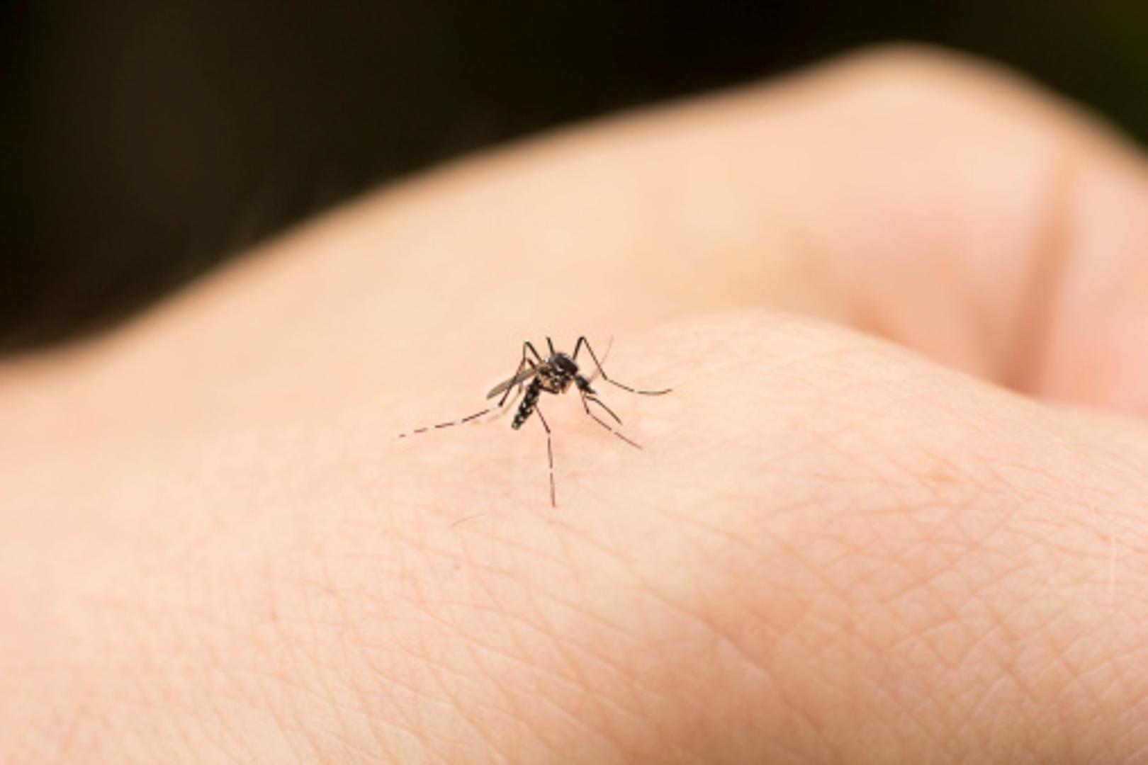 Poznato je kako neke ljude komarci napadaju i ubadaju češće, a neke rjeđe. Pitali smo se i mi, ali i stručnjaci više puta zašto je to tako i radimo li nešto krivo da još više privlačimo ove neugodne "zujalice". 