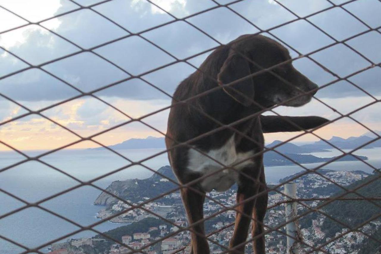 Dubrovnik i Žarkovica