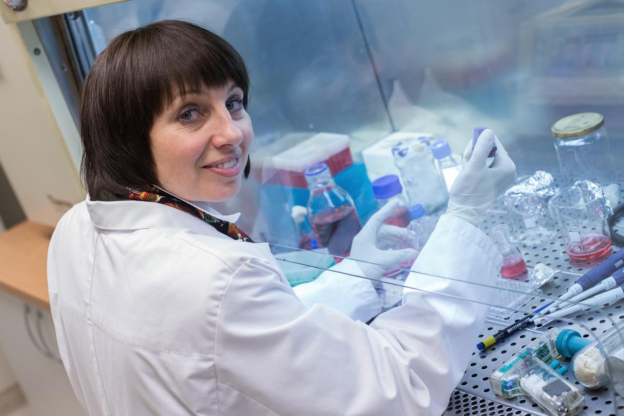 29.01.2015., Zagreb -  Laboratorij za genotoksicne agense najsterilnija je prostorija na Institutu Rudjer Boskovic. Dr. Sc. Anamaria Brozovic na radnom mjestu.  Photo: Davor Puklavec/PIXSELL