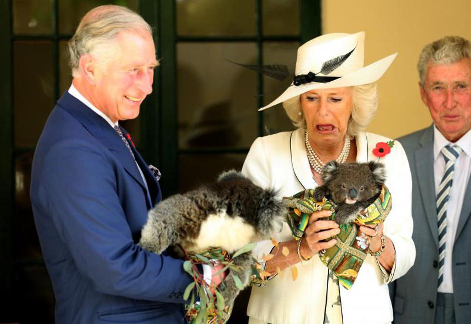 camilla i charles (1)