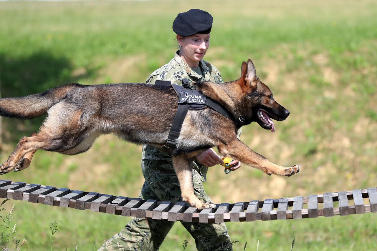 Martina Radnić, vodič pasa u OSRH