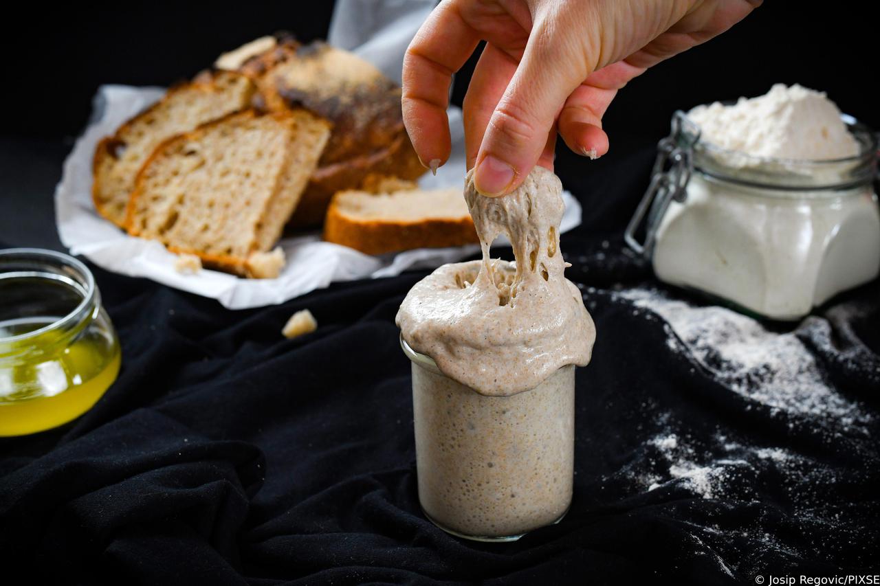 Starter kultura za proizvodnju kruha