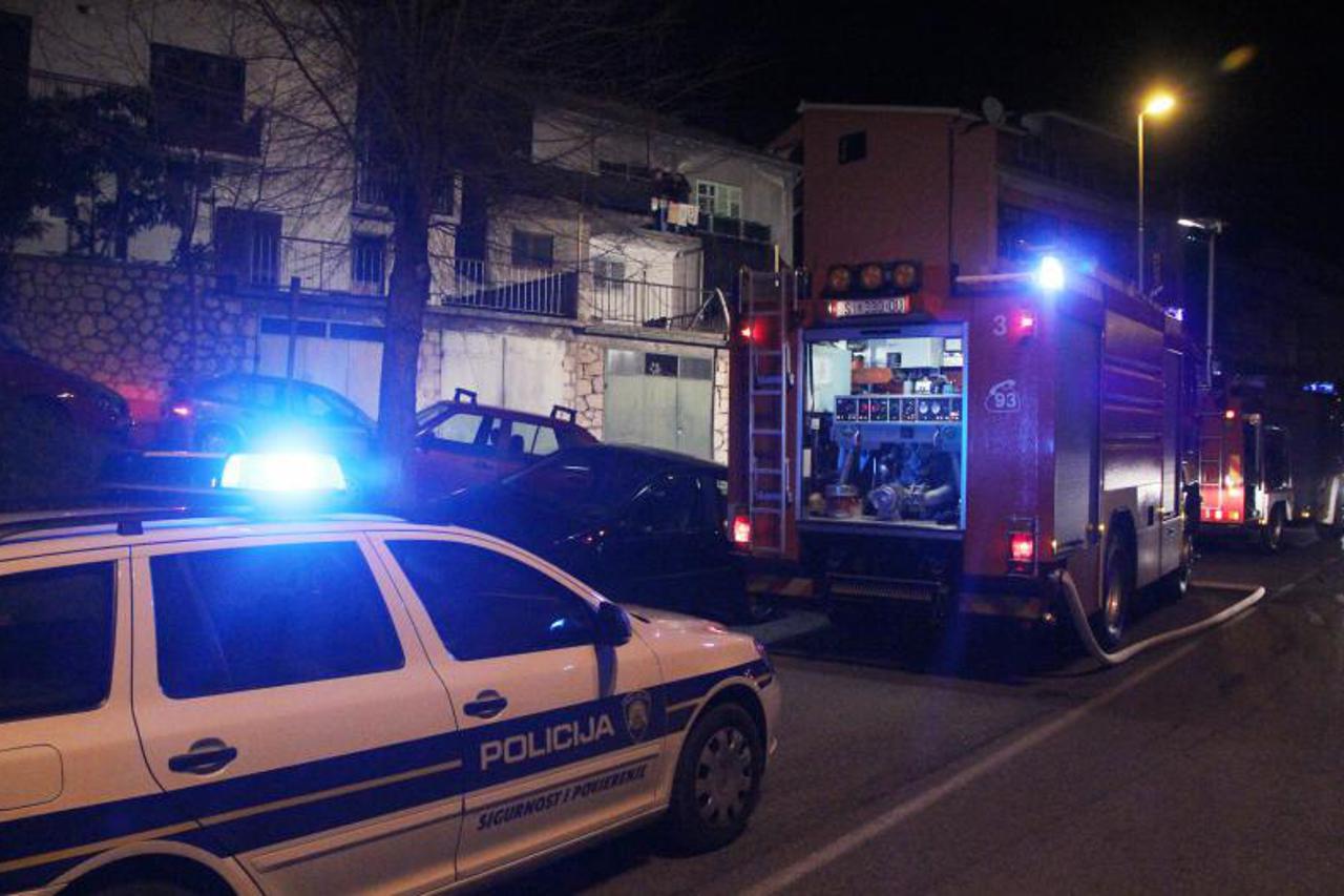 U požaru izgorjelo 18 štenaca (1)