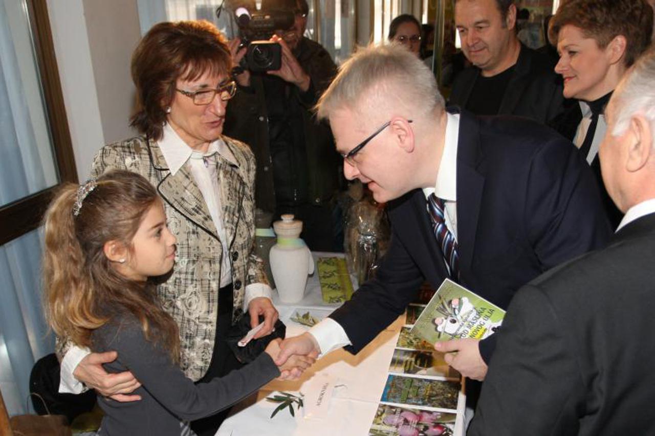 josipovic (1)