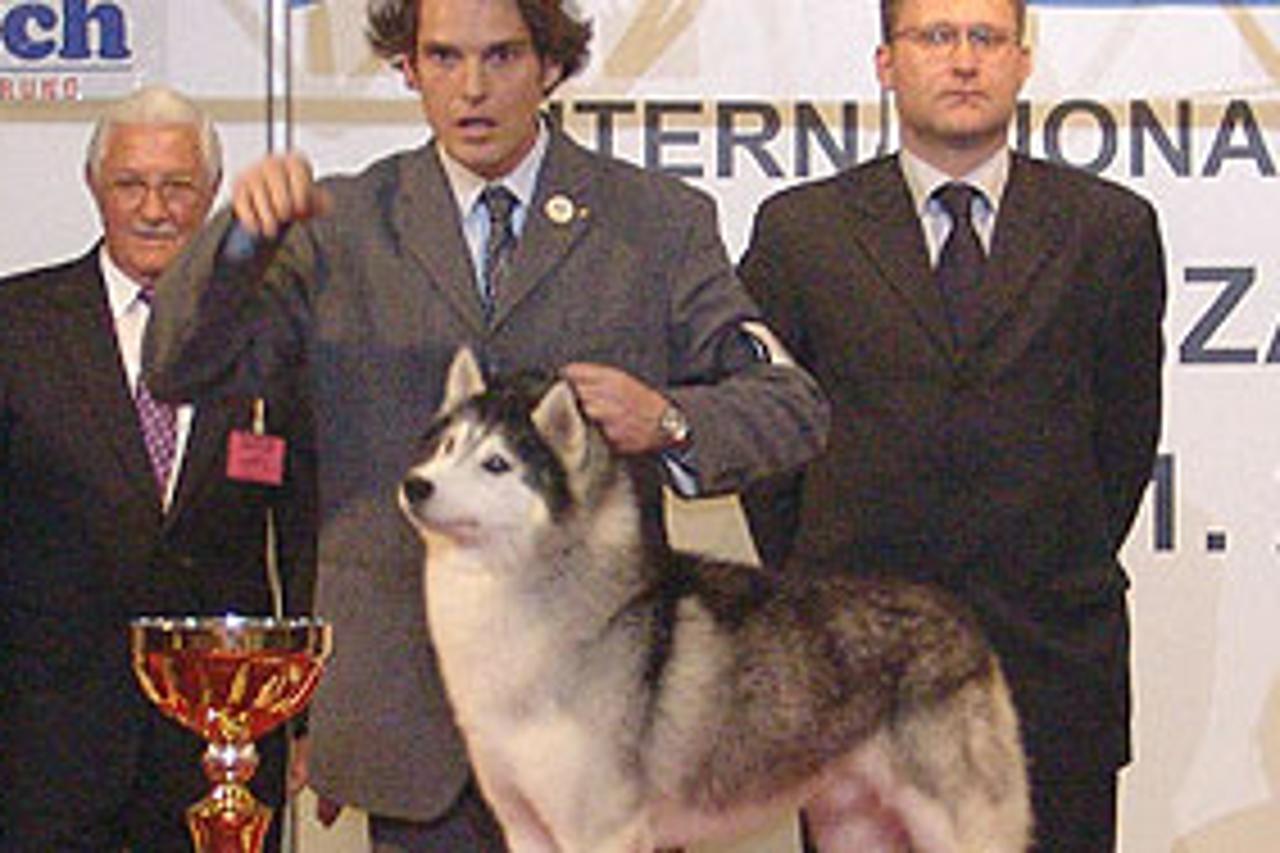 vrt_haski_tx.jpg