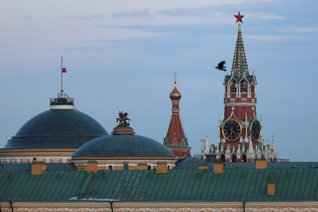 A bird flies with backdrop of the Kremlin in Moscow