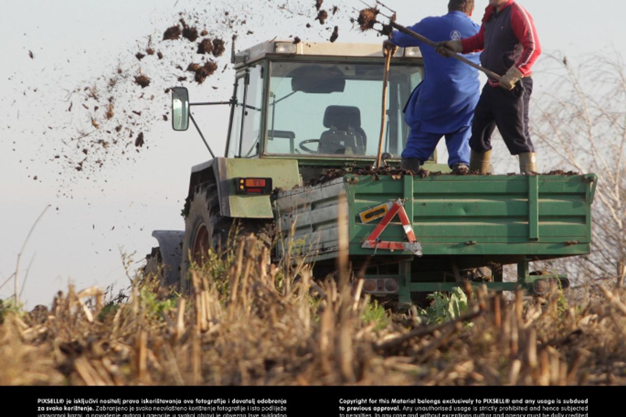 '19.03.2013., Koprivnica - Poljoprivrednici bacaju stajski gnoj po oranicama kako bi ih pripremili za proljetno oranje i osigurali dovoljno hrane za kulture koje ce uskoro posaditi. Photo: Marijan Sus