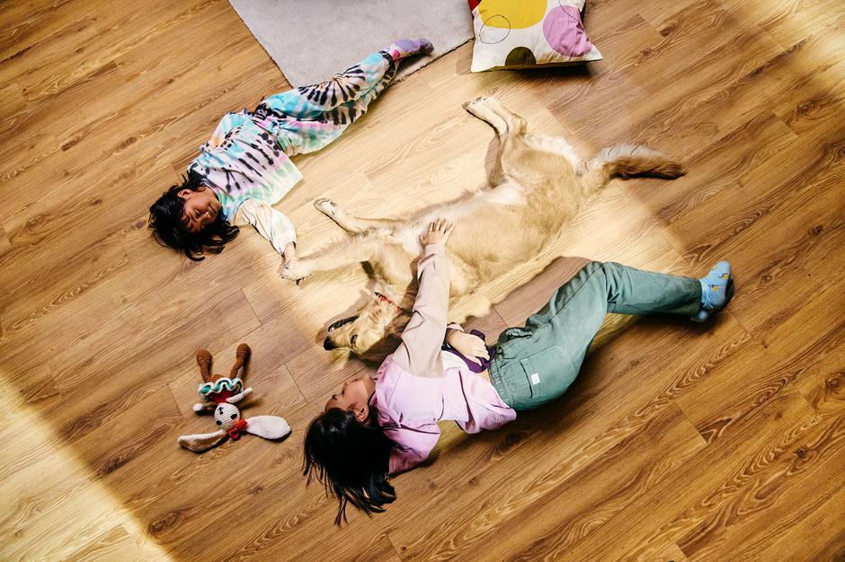 VELUX krovni prozori