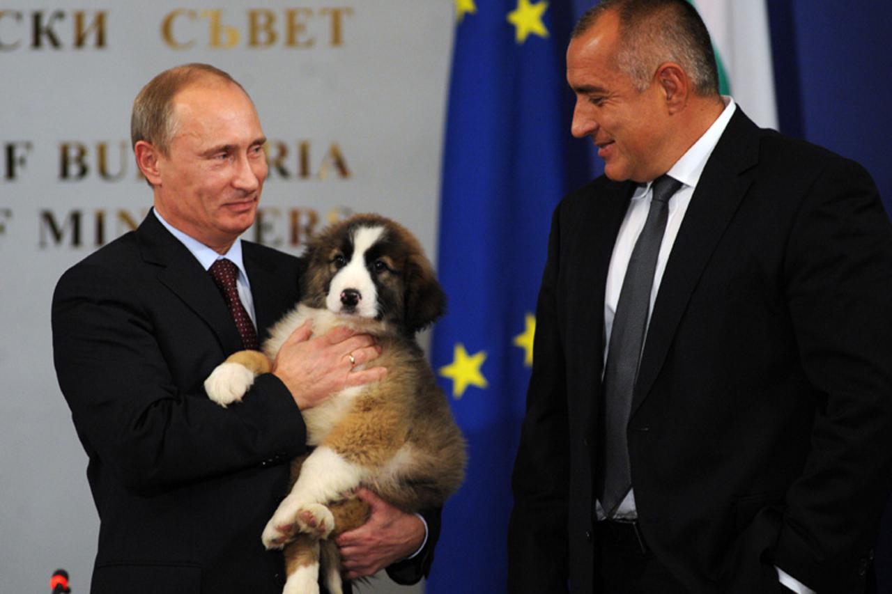 Putin macho (1)