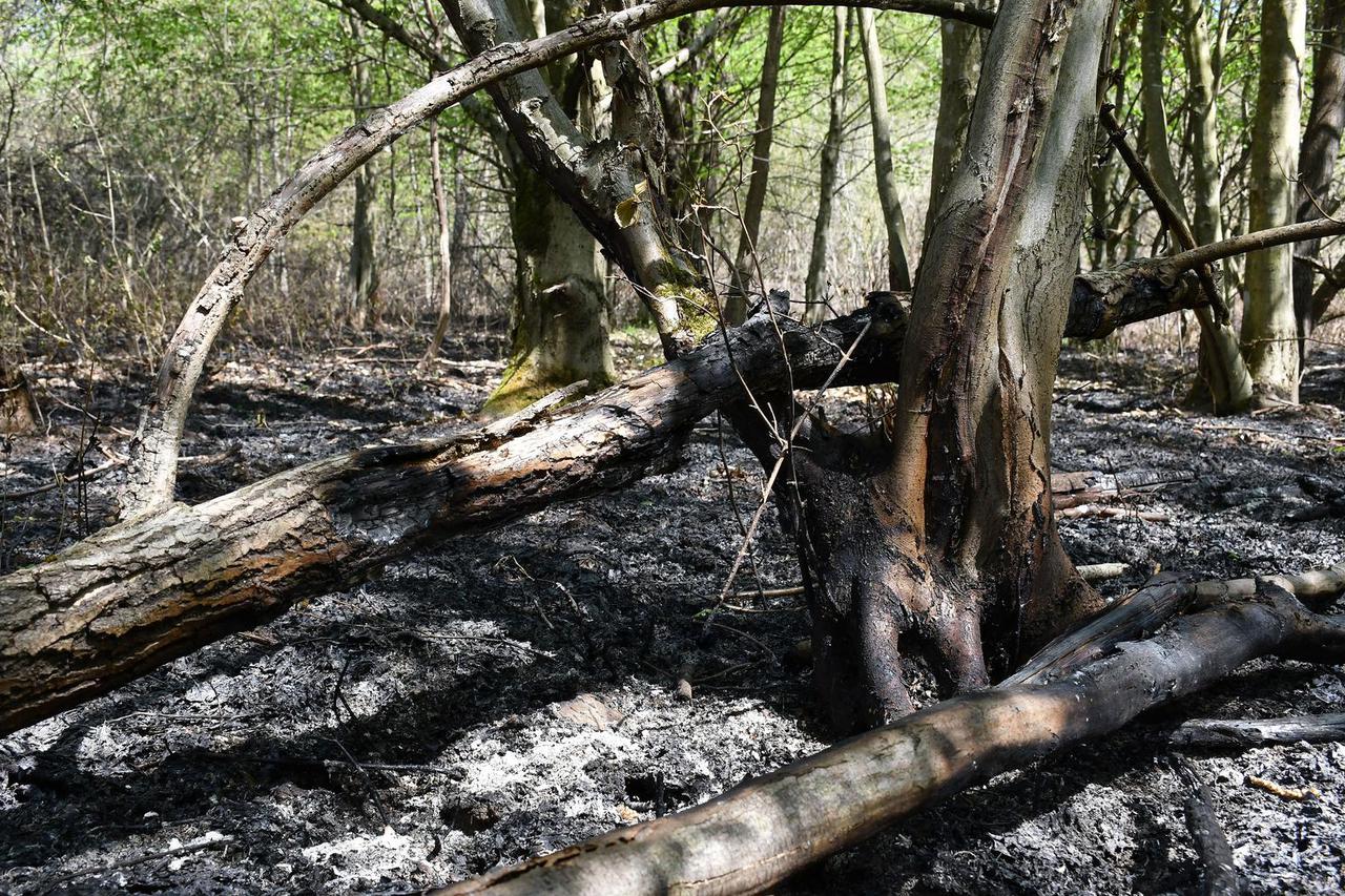 Opožarene površine polja i šume oko Brestovca