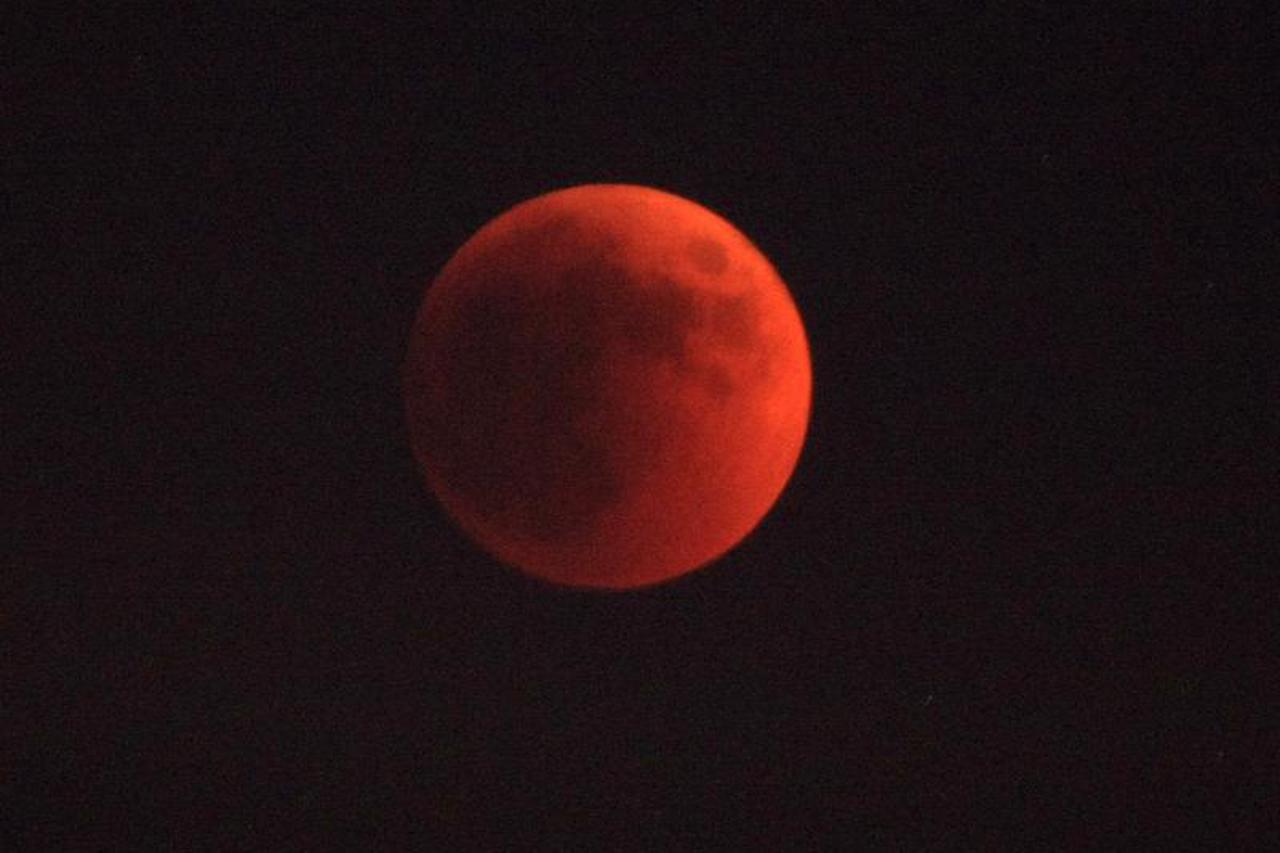 pomrcina mjeseca (1)