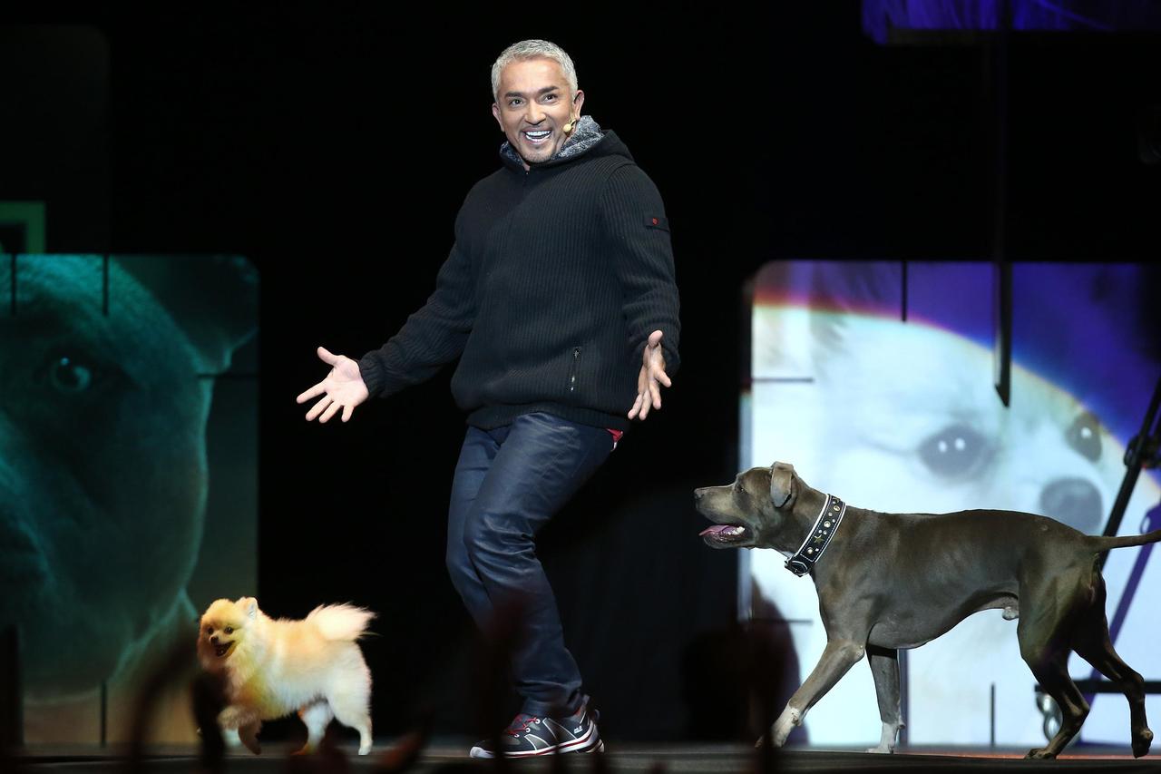 Cesar Millan