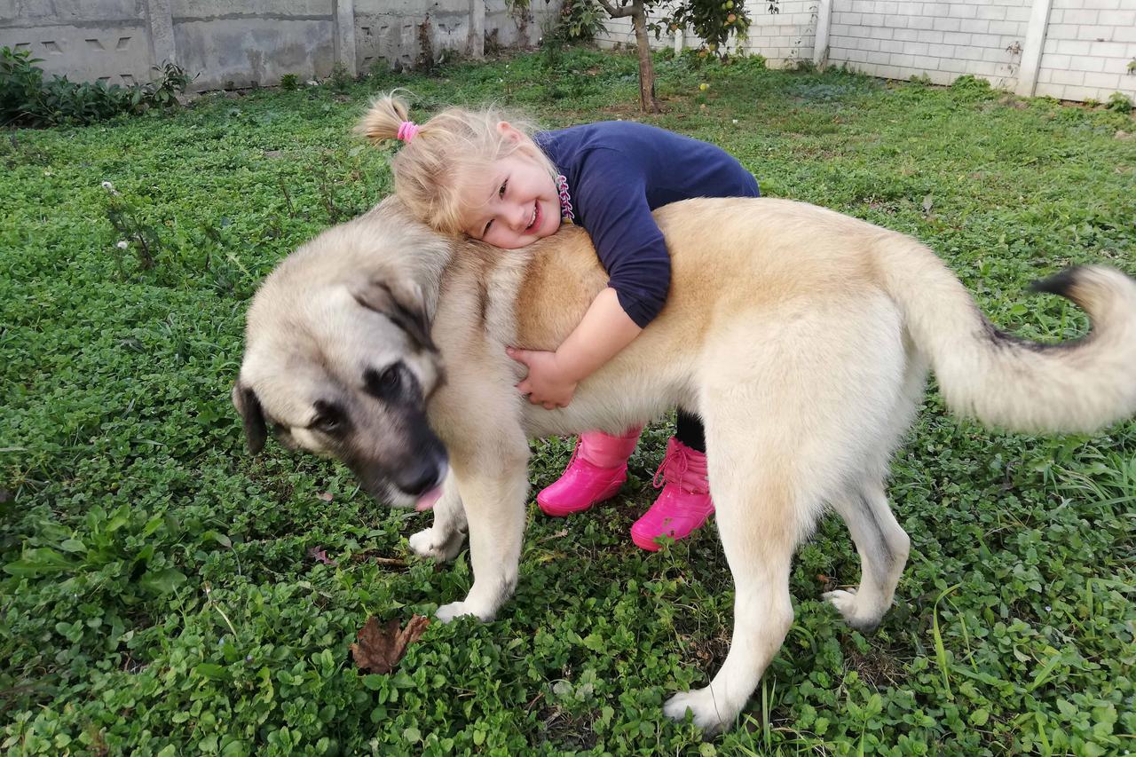 Obnavlja se najveće hrvatsko sklonište za napuštene životinje u Čakovcu