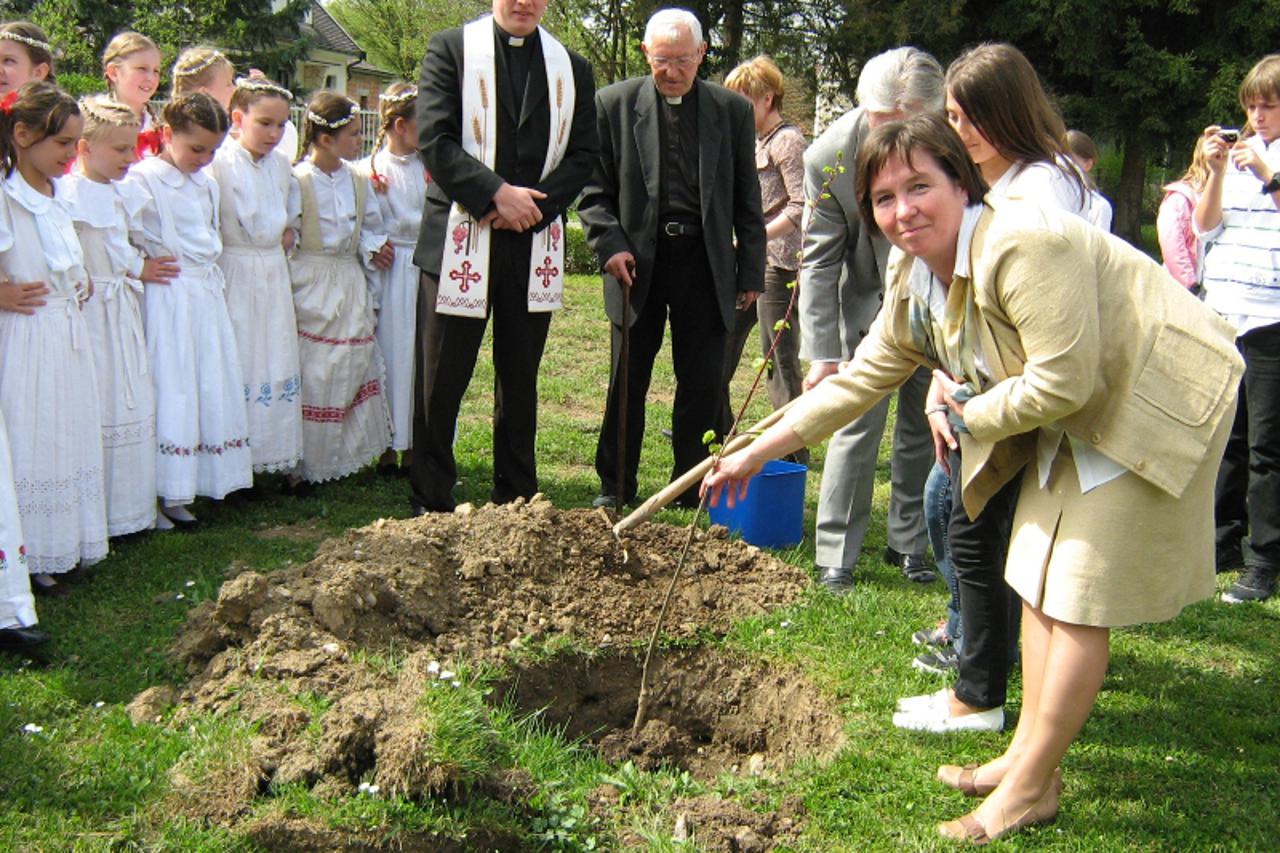 'lipa1_ses_zag_080411'