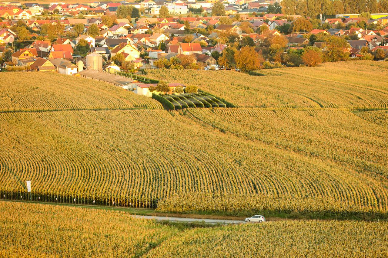 Poljoprivredna zemljišta u Prelogu