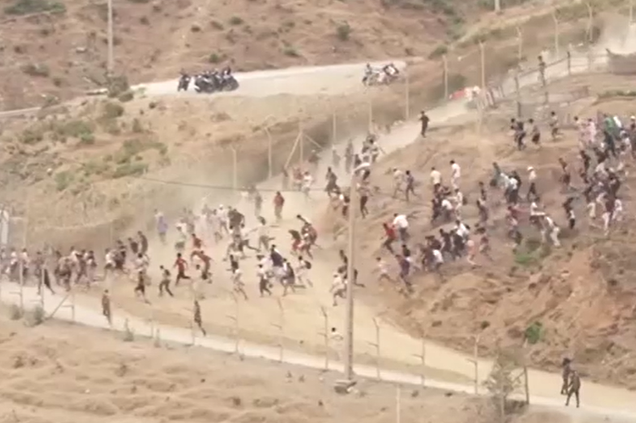 migranti