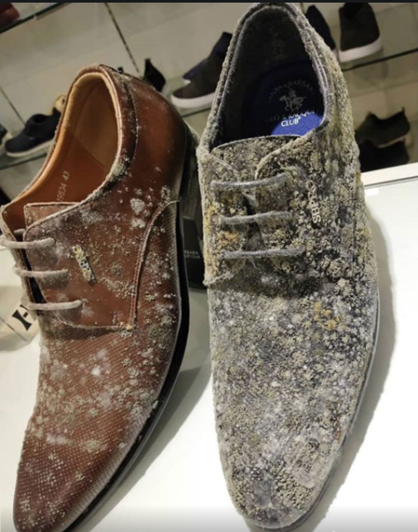 Ni kožne cipele nisu ostale sačuvane od plijesni.