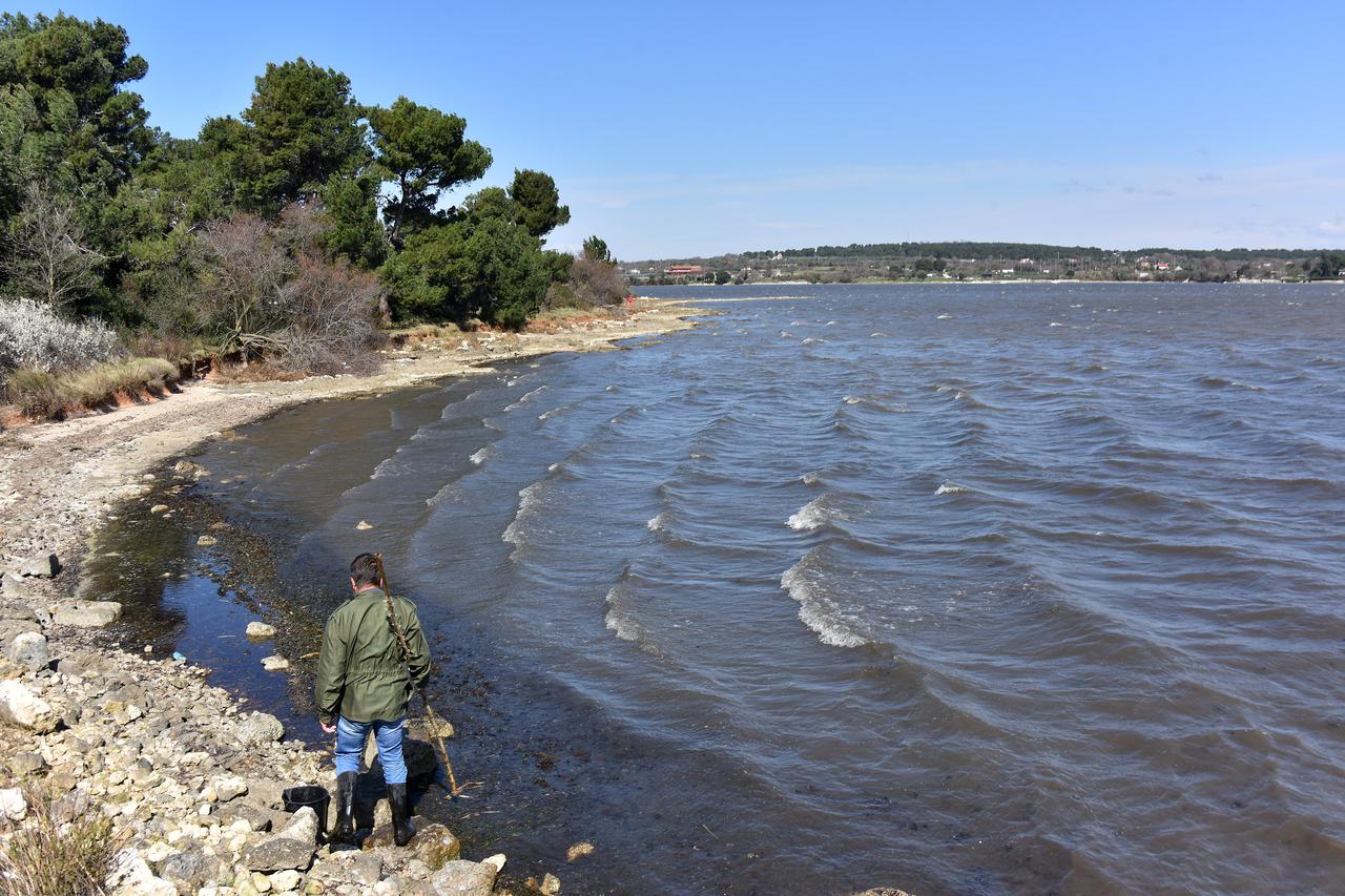 Stanovnici Premanture uz obalu skupljali ribe koje je izbacila jaka bura