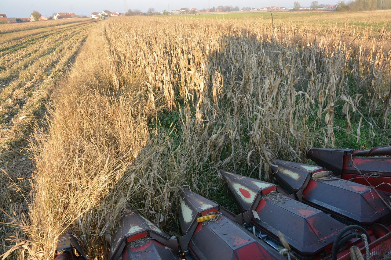 kombajn