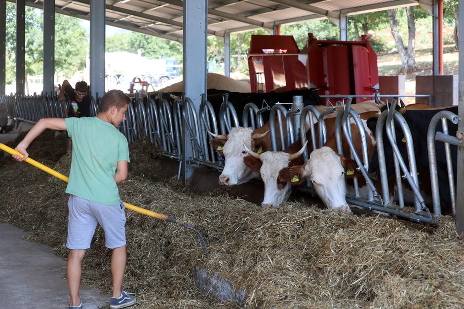 Izbor za najbolji OPG: OPG Buretić