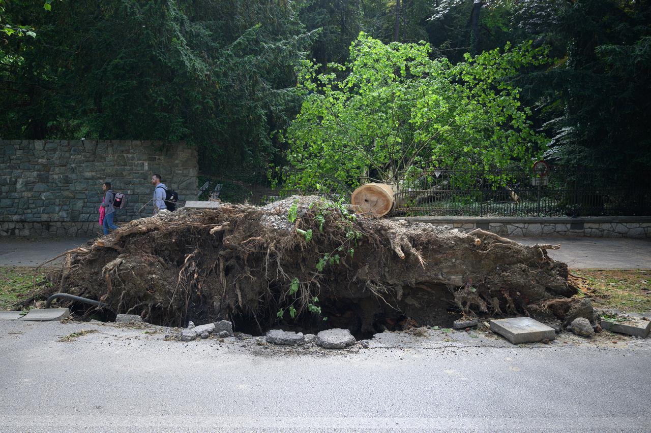 Zagreb: Veliko stablo srušilo se u Tuškancu i oštetilo ogradu kod javne garaže