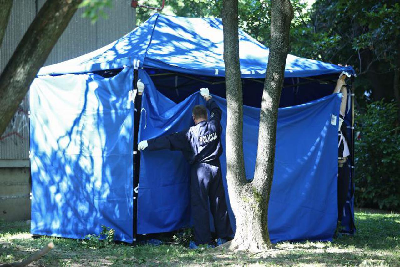 očevid, policija, ubojstvo