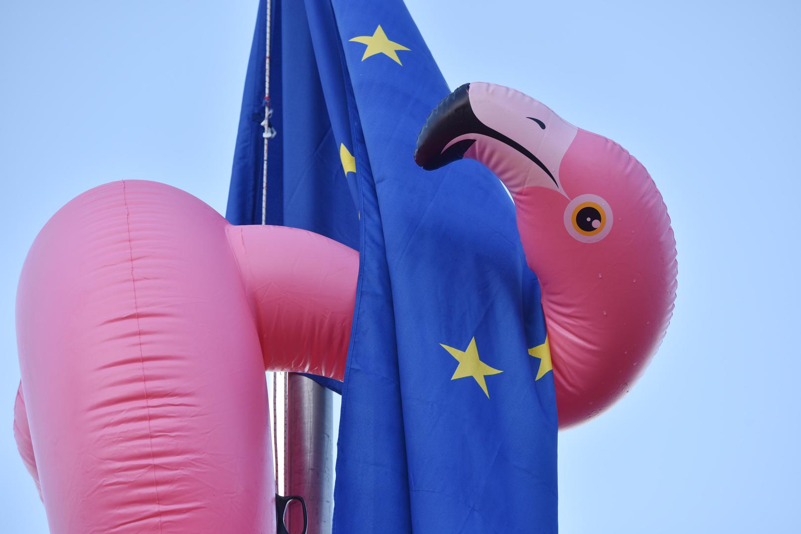 Izgleda da mu se posebno svidjela zastava Europske unije