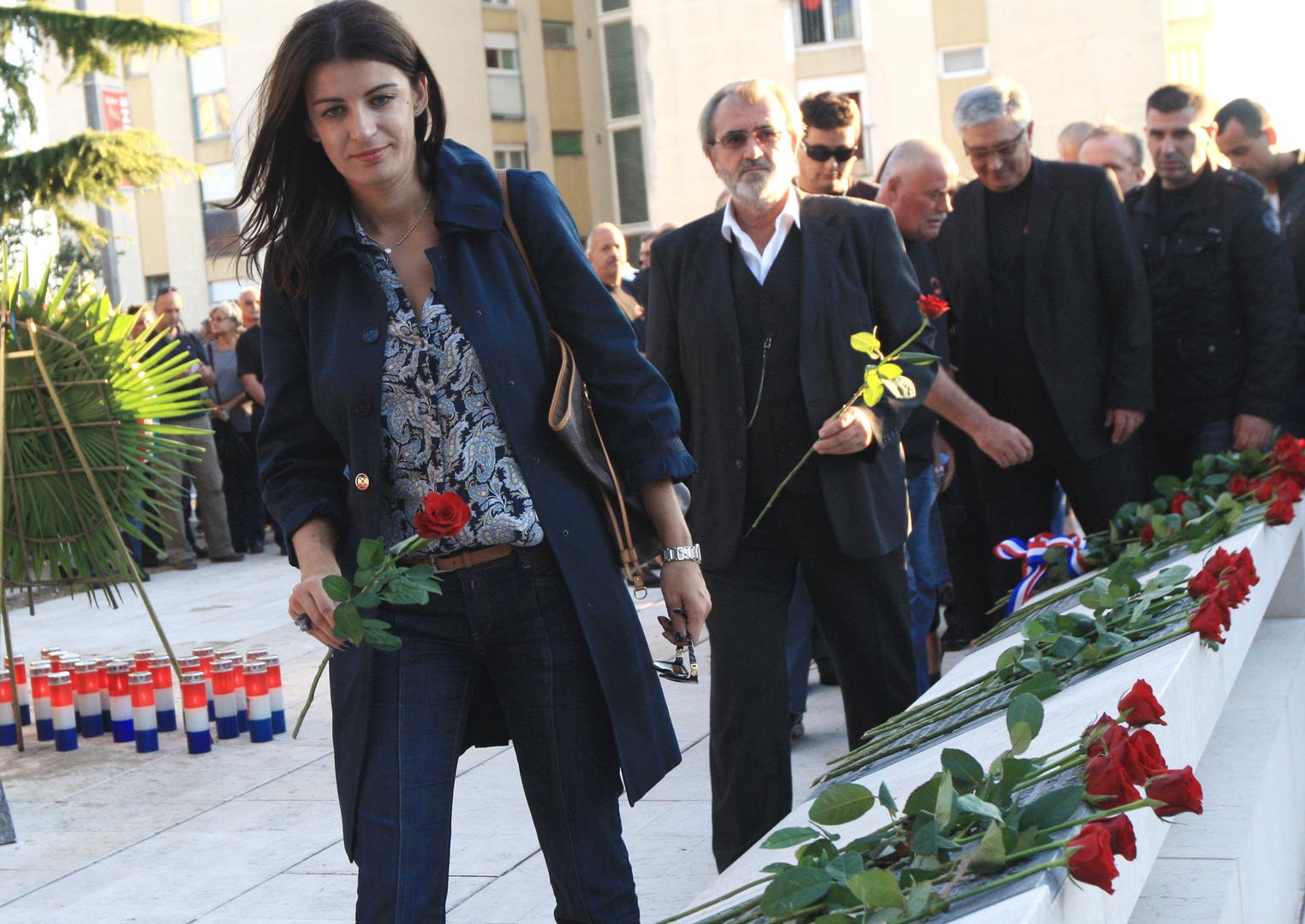 Najpoznatiji slučaj povezan s Josipom Pleslić jest afera Vjetroelektrane, koja se odnosi na projekt vjetroelektrane Krš-Pađene na području Šibensko-kninske županije.